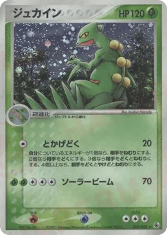Sceptile 003/055 ADV Expansion Pack