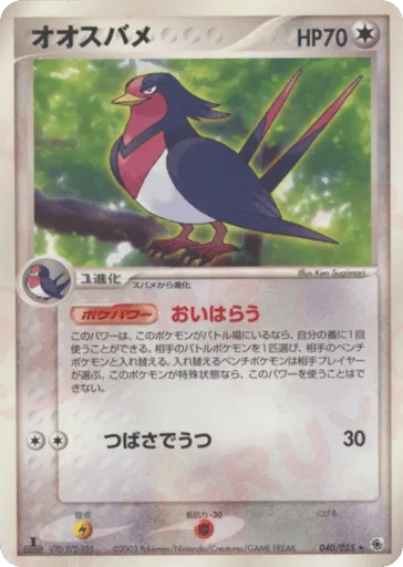 Swellow 040/055 ADV Expansion Pack