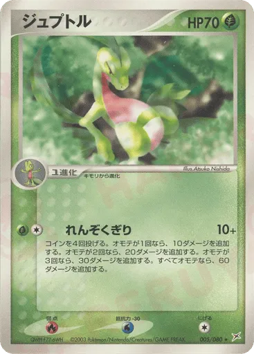 Grovyle 005/080 Magma vs Aqua: Two Ambitions