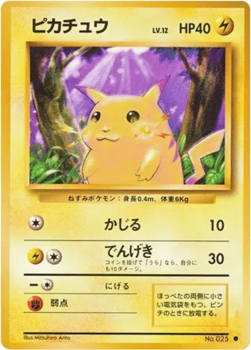 Pikachu No.025 Expansion Pack