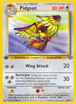 Pidgeot 24/64 Jungle