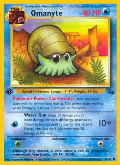 Omanyte 52/62 Fossil