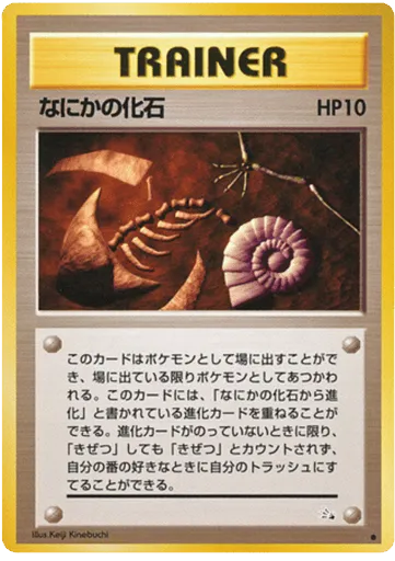 Mysterious Fossil Mystery of the Fossils