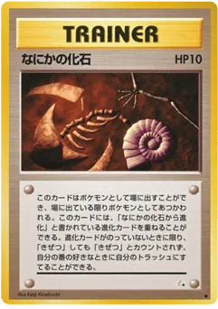 Mysterious Fossil Mystery of the Fossils