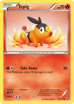 Tepig 16/114 Black & White