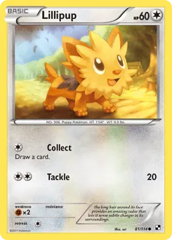 Lillipup 81/114 Black & White