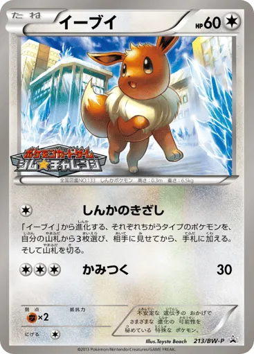 Eevee 213/BW-P Black & White Promos