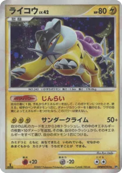 Raikou DPBP#293 Shining Darkness