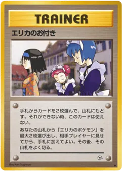 Erika's Maids Leaders' Stadium