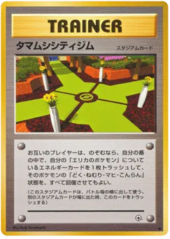 Celadon City Gym Leaders' Stadium