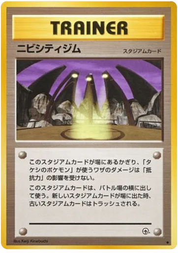 Pewter City Gym Leaders' Stadium