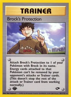 Brock's Protection 101/132 Gym Challenge