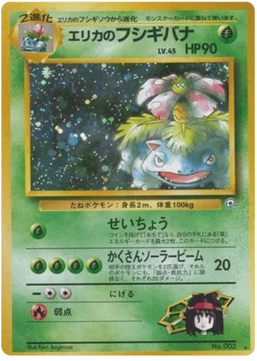 Erika's Venusaur No.003 Challenge from the Darkness