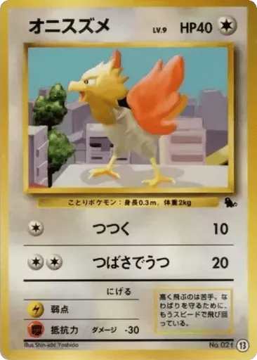 Spearow 13 Intro Pack (Squirtle)