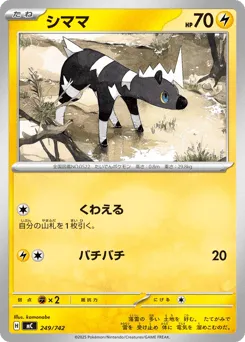 Blitzle 249/742 Start Deck 100 Battle Collection
