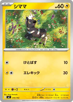 Blitzle 250/742 Start Deck 100 Battle Collection