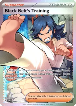 Black Belt's Training 255/217 Holo Ascended Heroes