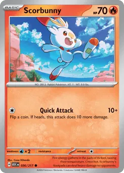Scorbunny 036/217 Normal Ascended Heroes