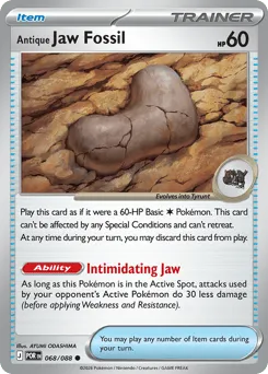 Antique Jaw Fossil 068/088 Perfect Order