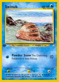 Swinub 79/111 Neo Genesis