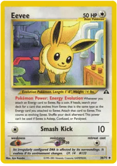 Eevee No.133 Crossing the Ruins...