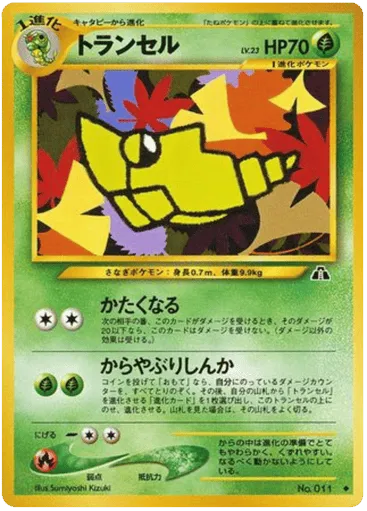 Metapod No.011 Crossing the Ruins...