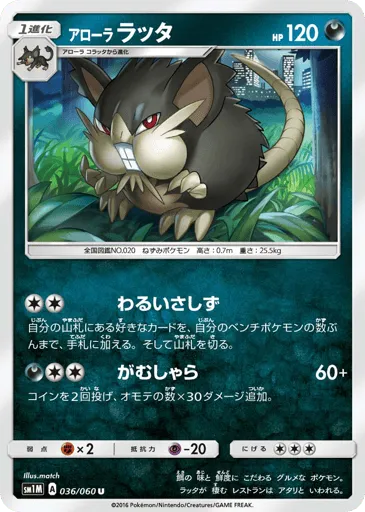 Alolan Raticate 036/060 Collection Moon