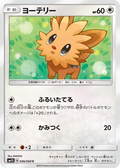Lillipup 046/060 Collection Sun