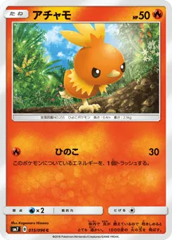 Torchic 015/096 Sky-Splitting Charisma