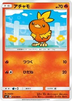 Torchic 016/096 Sky-Splitting Charisma