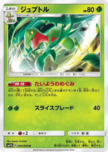 Grovyle 004/050 Fairy Rise