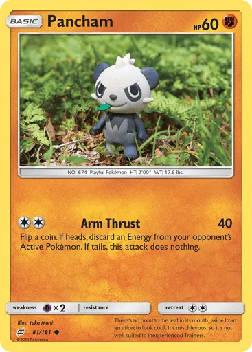 Pancham 81/181 Team Up