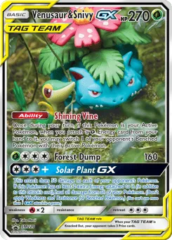 Venusaur & Snivy-GX SM229 SM Black Star Promos