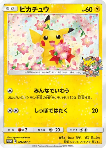 Pikachu 224/SM-P Sun & Moon Promos