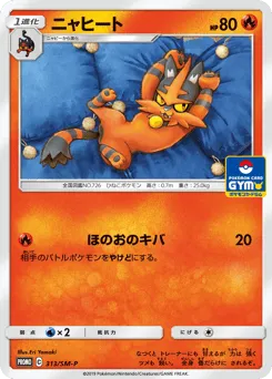 Torracat 313/SM-P Sun & Moon Promos