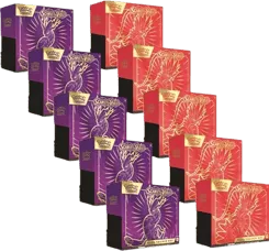 Scarlet & Violet Elite Trainer Box Case