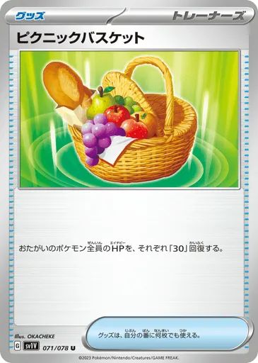 Picnic Basket 071/078 Violet ex