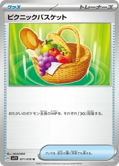 Picnic Basket 071/078 Violet ex