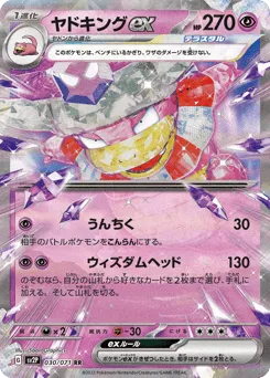 Slowking ex 030/071 Snow Hazard