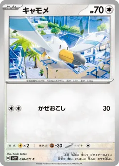Wingull 058/071 Snow Hazard