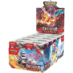 Obsidian Flames Build & Battle Box Display