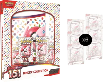 151 Binder Collection Case