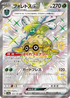 Forretress ex 320/190 Shiny Treasure ex
