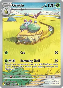 Grotle 164/162 Temporal Forces