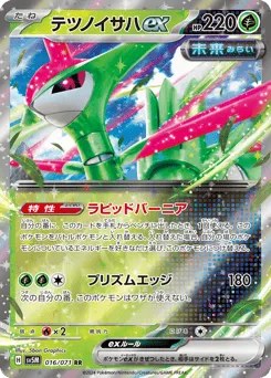 Iron Leaves ex 016/071 Cyber Judge