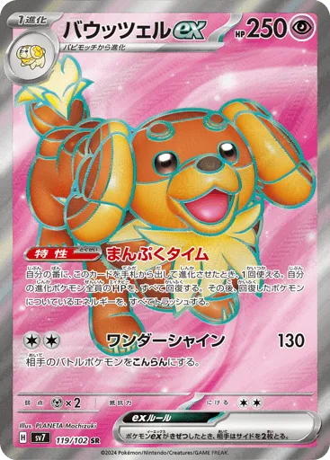 Dachsbun ex 119/102 Stellar Miracle