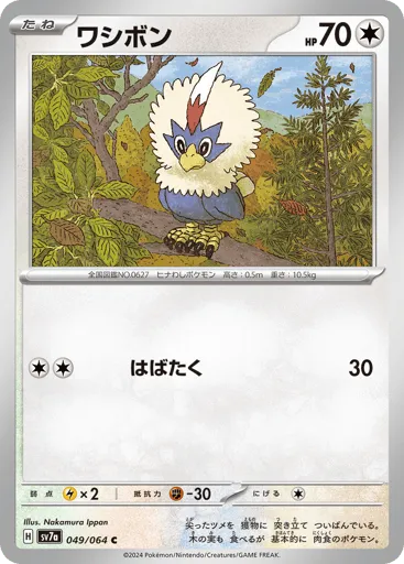 Rufflet 049/064 Paradise Dragona