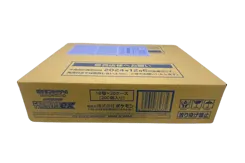 Terastal Festival ex Booster Box Case
