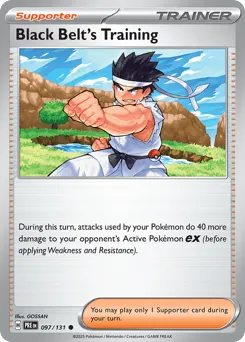 Black Belt's Training 097/131 Normal Prismatic Evolutions