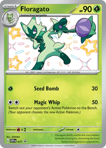 Floragato 077 Scarlet & Violet Black Star Promos